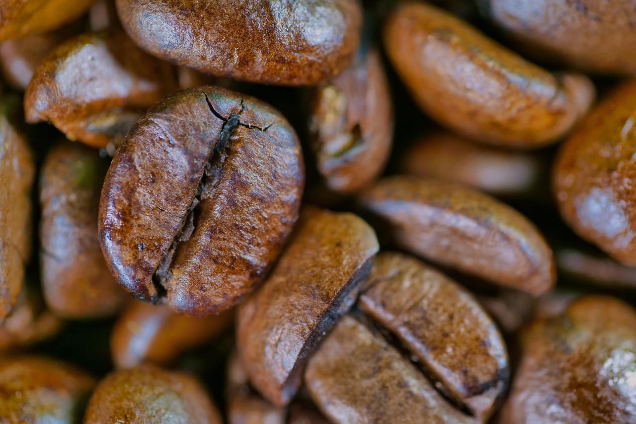 Beans, roast dates and freshness